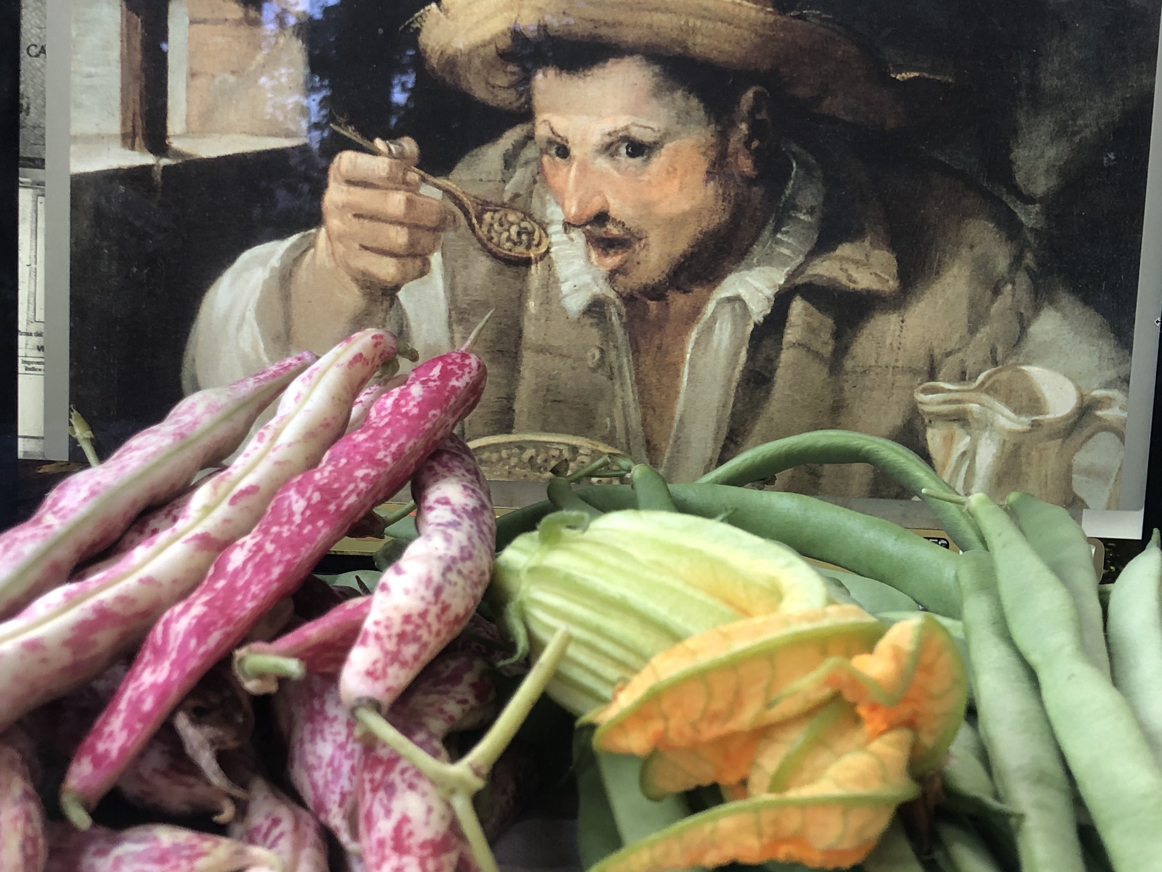 Citizen Science Experiment